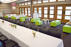 SPRING HAS SPRUNG BAT MITZVAH